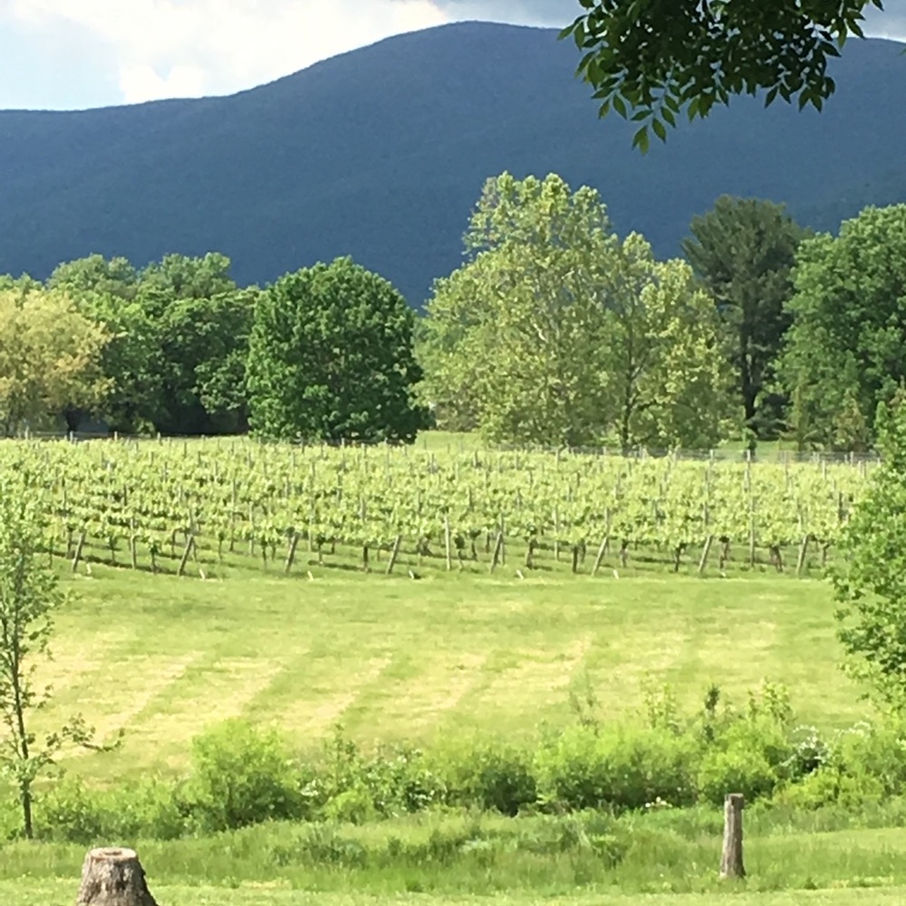 Meet your Posher, Kristin